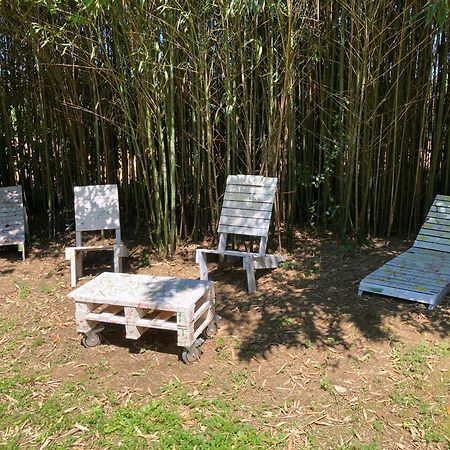 B&B - Chambres D'Hotes Acoucoula Orthez Exterior foto